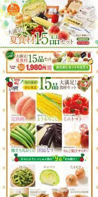 1,980円で味わえるおためしセットのLPデザイン（サービス・保険・金融／ベージュ系／かわいい系）PC版