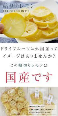 ドライフルーツ レモンのLPデザイン（食品／ホワイト系／かわいい系）PC版