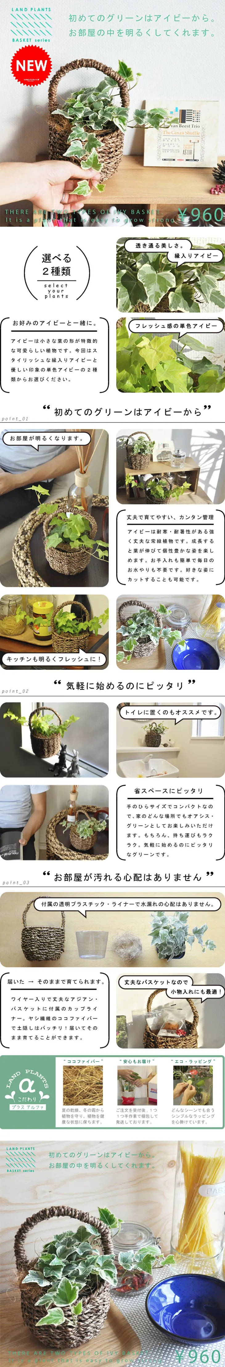 Ivy in a cute basket set. LP design (Interior, furniture, and bedding / White-based / Simple) PC version