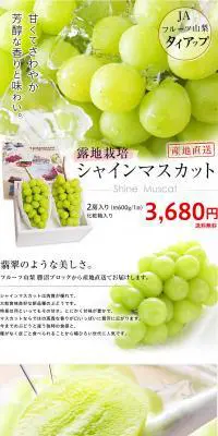 シャインマスカットのLPデザイン（食品／ホワイト系／シンプル系）PC版