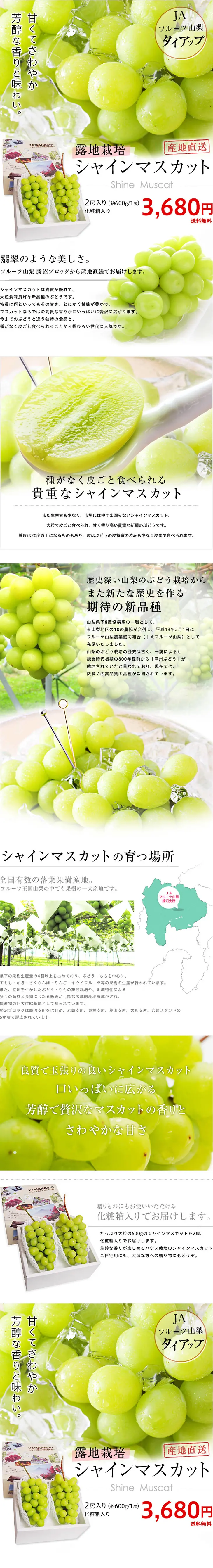 Shine Muscat LP design (food / White-based / Simple) PC version