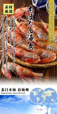 特大＆子持ち本ぼたんえび1kgのLPデザイン（食品／ホワイト系／にぎやか系）PC版