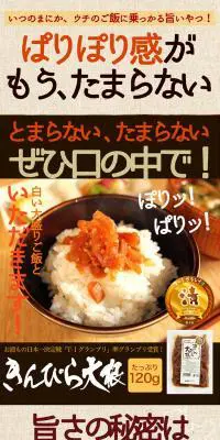 きんぴら大根のLPデザイン（食品／ブラウン系／にぎやか系）PC版