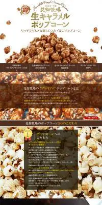 生キャラメルポップコーンのLPデザイン（スイーツ・スナック菓子／ブラウン系）PC版