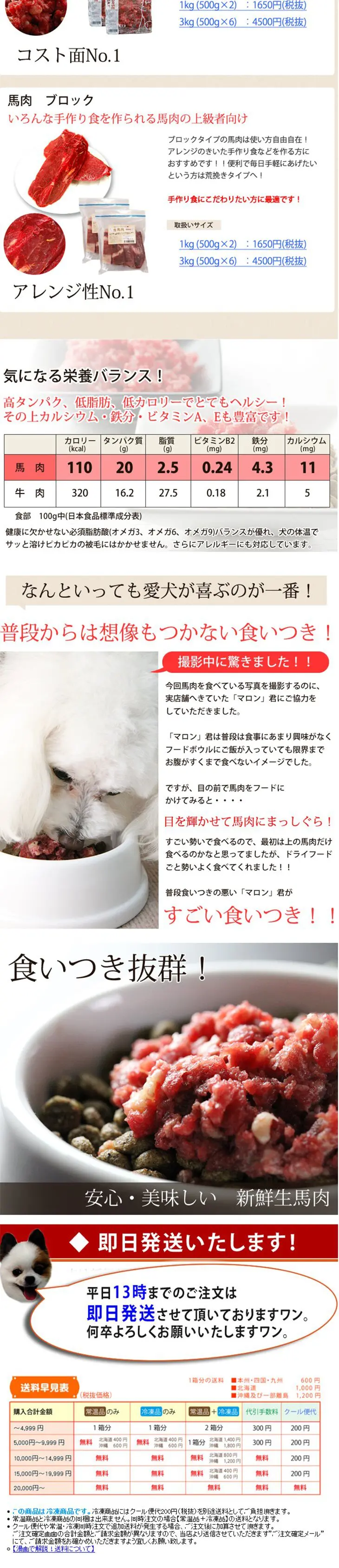 安心・美味しい新鮮生馬肉のLPデザイン（ペット・花・DIY工具／ホワイト系／信頼・安心系）PC版