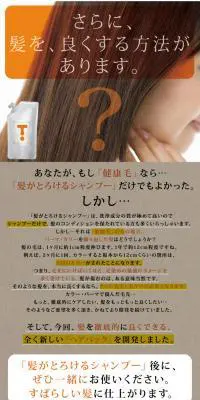 髪がとろけるシャンプーのLPデザイン（美容・スキンケア・香水／ブラウン系／信頼・安心系）PC版