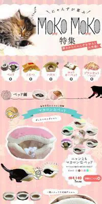 NEKO MOKO特集のLPデザイン（ペット・花・DIY工具／ピンク系／かわいい系）PC版