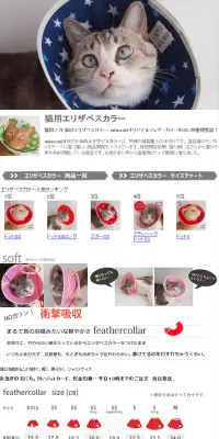 猫用エリザベスカラーのLPデザイン（ペット・花・DIY工具／ホワイト系／シンプル系）PC版