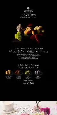ピーカンナッツチョコレートシリーズのLPデザイン（スイーツ・スナック菓子／ブラウン系）PC版