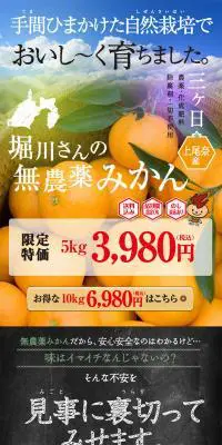 堀川さんちの無農薬みかんのLPデザイン（フルーツ・果物・野菜／カラフル系／力強い系）PC版