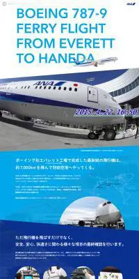 ボーイング787-9国際線仕様機フェリーフライトのLPデザイン（サービス・保険・金融／ブルー系／シンプル系）PC版