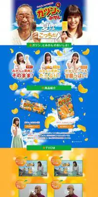 ガツン、とみかんのLPデザイン（スイーツ・スナック菓子／オレンジ系／力強い系）PC版