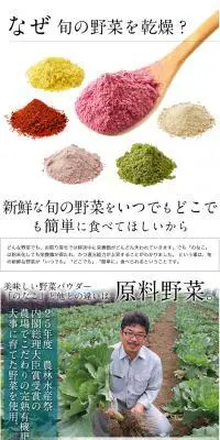 お得用ケールのLPデザイン（食品／ホワイト系／信頼・安心系）PC版