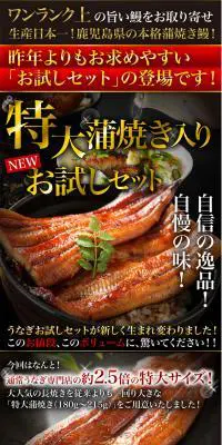 うなぎの里極上蒲焼きお試しセットのLPデザイン（食品／イエロー系／にぎやか系）PC版