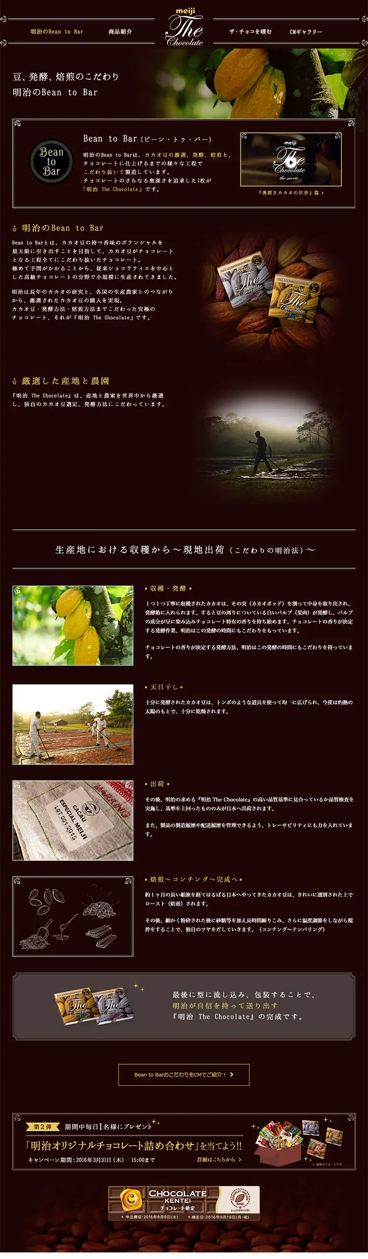 Meiji Bean to Bar LP design (Sweets and Snacks / Brown tones / Organic) PC version