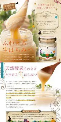 アルゼンチン産　非加熱はちみつ　マヒカハニーのLPデザイン（健康・美容食品・サプリ／ブラウン系／かわいい系）PC版