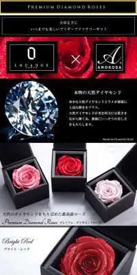 DIAMOND ROSEのLPデザイン（インターネットサービス／ブラック系）PC版