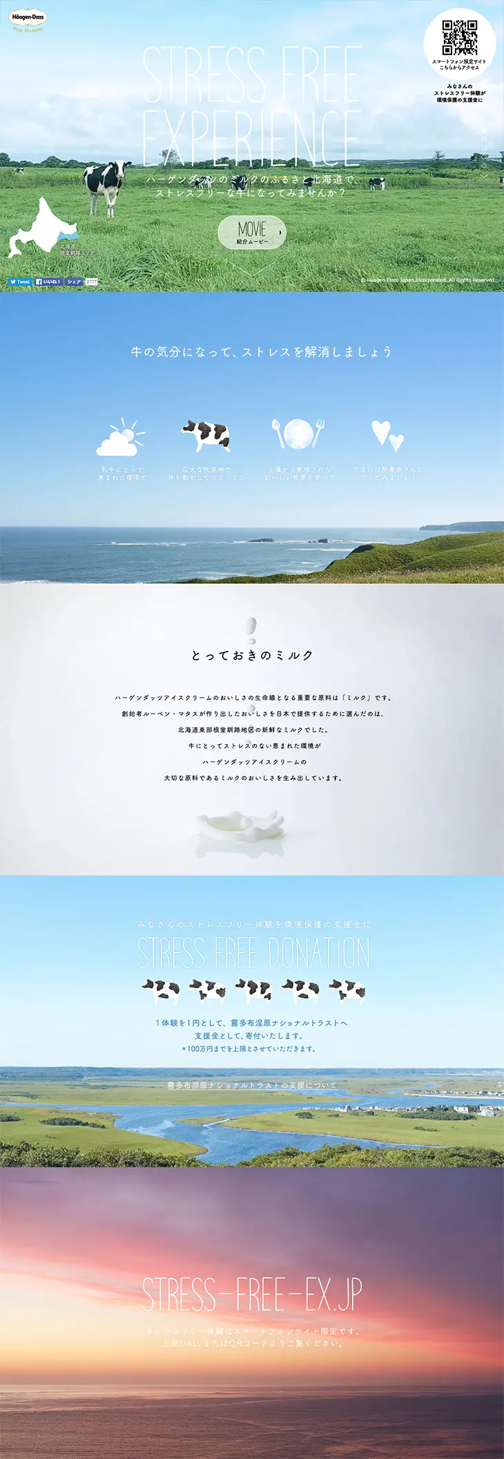 STRESS FREE EXPERIENCE LP design (Services, Insurance, and Finance / Shades of blue / Cute style) PC version