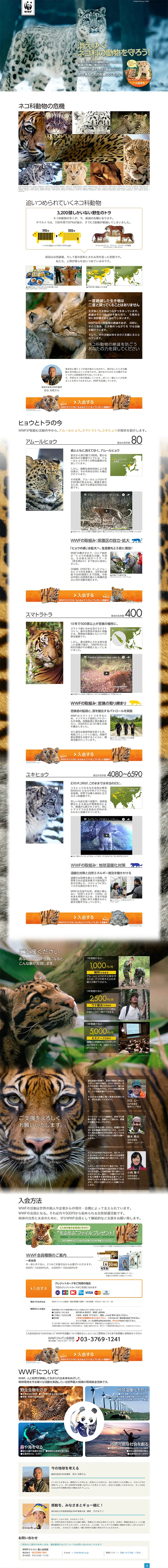 Let's protect vanishing felines! LP design (Services, Insurance, and Finance / White-based / Arts) PC version