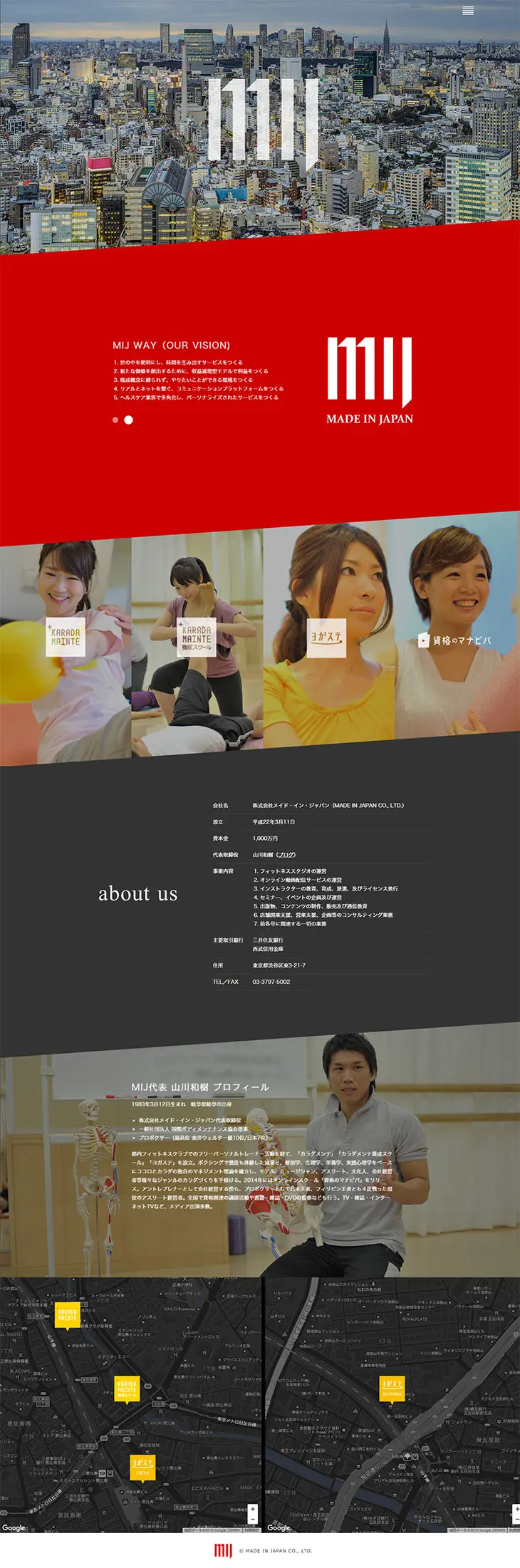 MIJ Group LP design (Services, Insurance, and Finance / Shades of grey / Simple) PC version