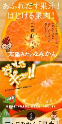 三ヶ日みかん 早生のLPデザイン（フルーツ・果物・野菜／オレンジ系／力強い系）PC版
