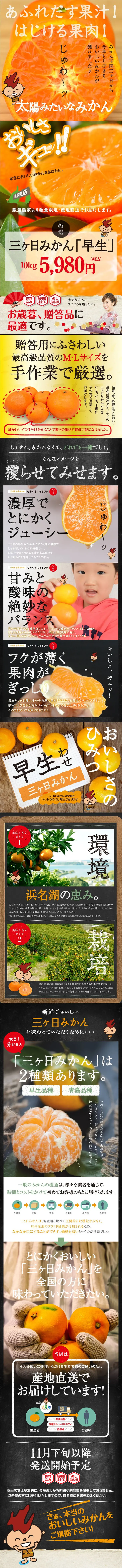 Early Mikkabi Mandarin LP design (fruit-vegetable / Orange tones / Strong) PC version