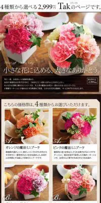TakのLPデザイン（ペット・花・DIY工具／ブラウン系／オーガニック系）PC版