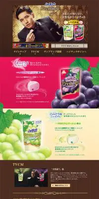 ハイチュウプレミアムのLPデザイン（スイーツ・スナック菓子／ブラウン系／シンプル系）PC版