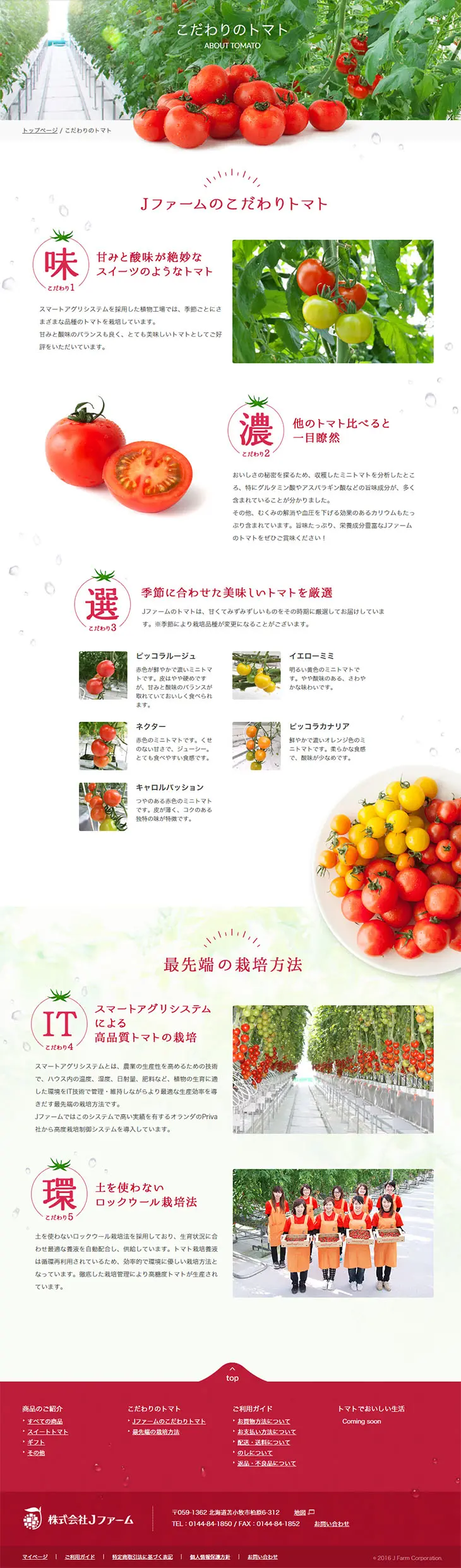 Artisan Tomato LP design (food / White-based / Simple) PC version