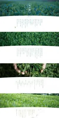 瑞芳園 - 昔ながらの有機農法で作る旨いお茶のLPデザイン（食品／グリーン系／シンプル系）PC版