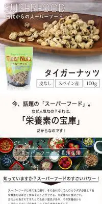 タイガーナッツのLPデザイン（健康・美容食品・サプリ／ブラウン系／かっこいい系）PC版