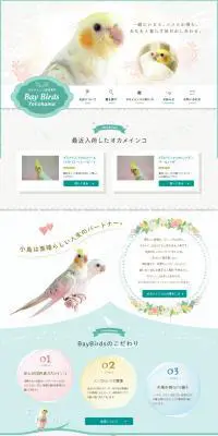 オカメインコの販売専門店のLPデザイン（ペット・花・DIY工具／ホワイト系／かわいい系）PC版