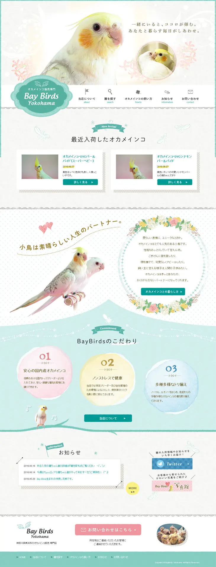 Cockatiel Specialty Store LP design (Pets, Flowers, DIY Tools / White-based / Cute style) PC version