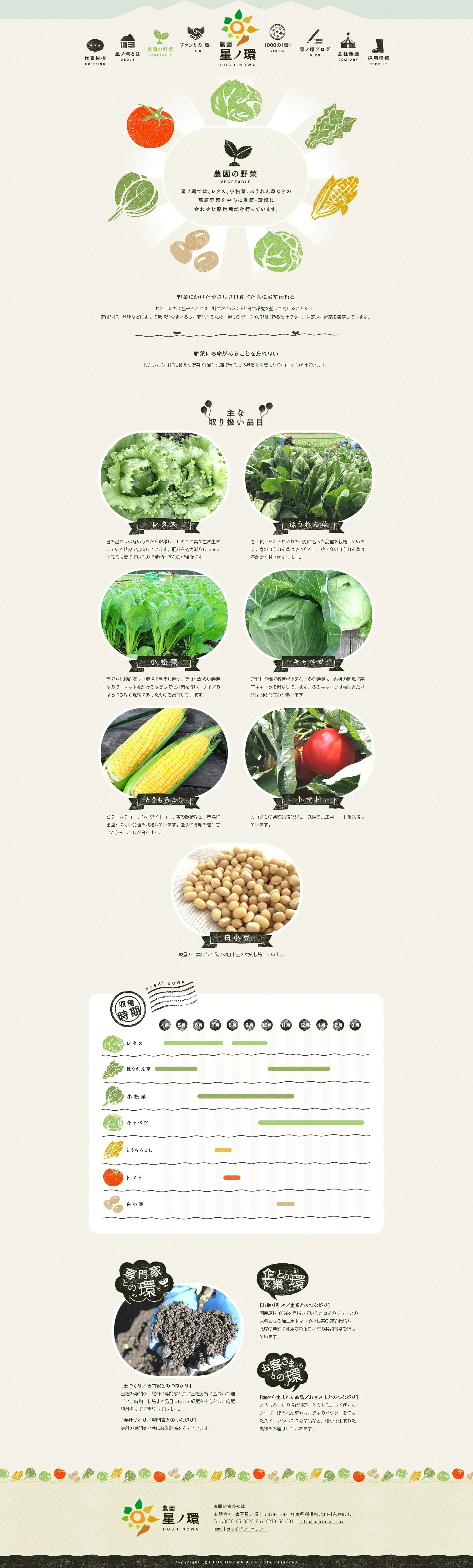 Farm vegetables LP design (food / Beige tones / Organic) PC version