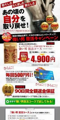 レッドドラゴンのLPデザイン（健康・美容食品・サプリ／グレー系／力強い系）PC版