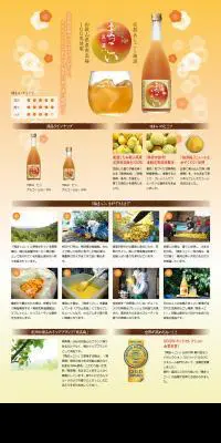 梅まっこいのLPデザイン（飲料・お酒／オレンジ系／シンプル系）PC版