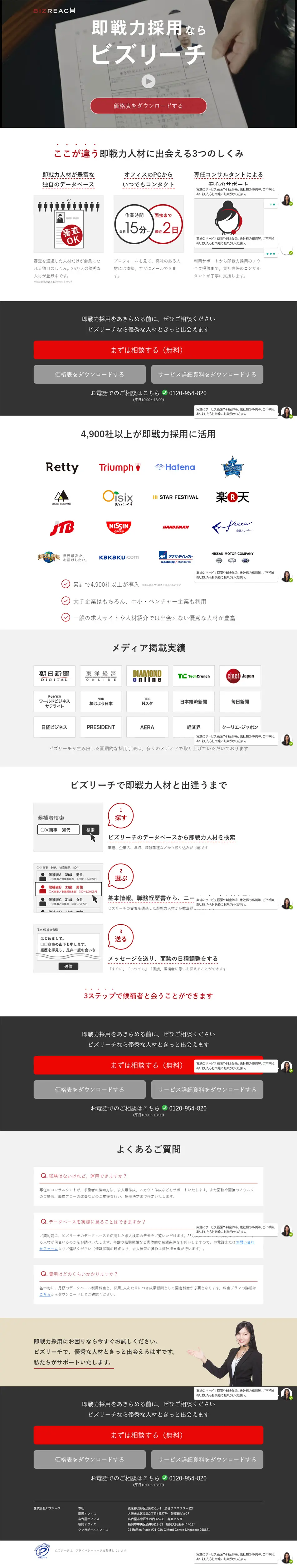 BizReach LP design (Services, Insurance, and Finance / White-based / Simple) PC version