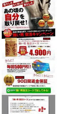 レッドドラゴンのLPデザイン（健康・美容食品・サプリ／グレー系／力強い系）PC版