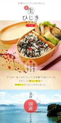 梅入りひじきふりかけのLPデザイン（食品／ブラウン系／ナチュラル系）PC版