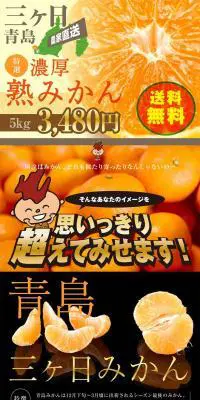 特選三ヶ日みかん　青島のLPデザイン（食品／ブラック系／力強い系）PC版