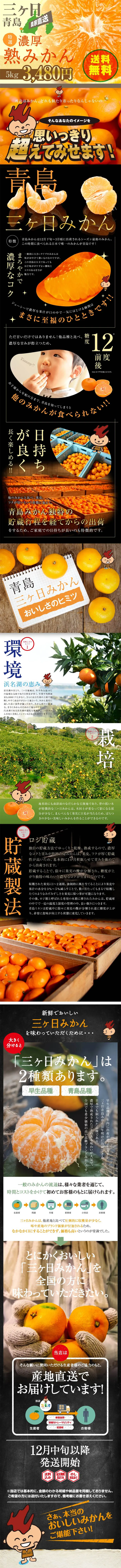 Premium Mikkabi Aoshima Mandarin Oranges LP design (food / Black-colored / Strong) PC version