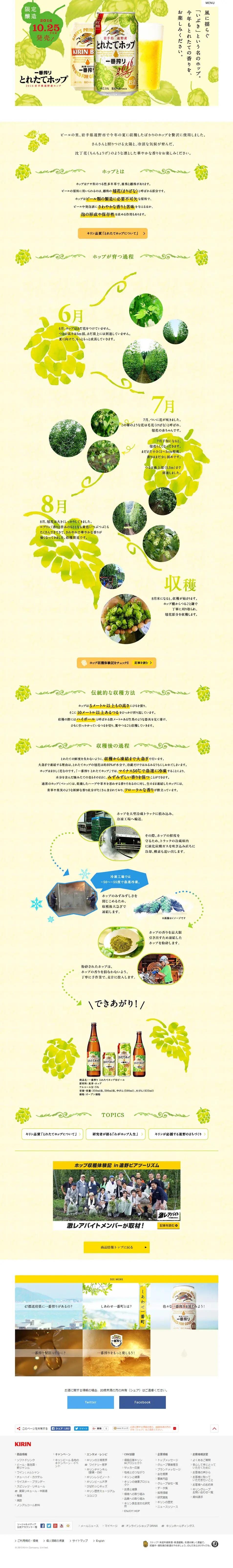Ichiban Shibori Freshly Picked Hops LP design (Beverages and Alcohol / yellow / Arts) PC version