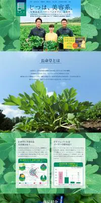 長命草（ボタンボウフウ）のLPデザイン（健康・美容食品・サプリ／グリーン系／信頼・安心系）PC版