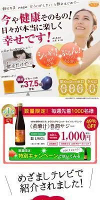 黄酸汁 豊潤サジーのLPデザイン（健康・美容食品・サプリ／オレンジ系／にぎやか系）PC版