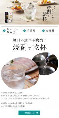Topvalu Honkaku Shochu