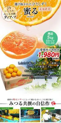 みかん　蜜るのLPデザイン（フルーツ・果物・野菜／ホワイト系／信頼・安心系）PC版