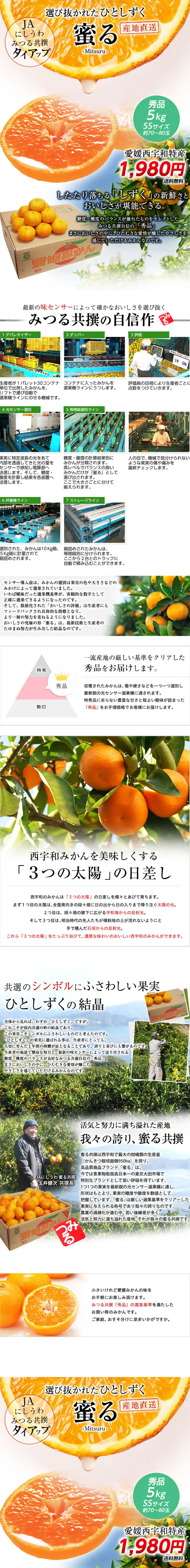 Honeyed Satsuma Mandarin LP design (fruit-vegetable / White-based / Trust and Safety) PC version