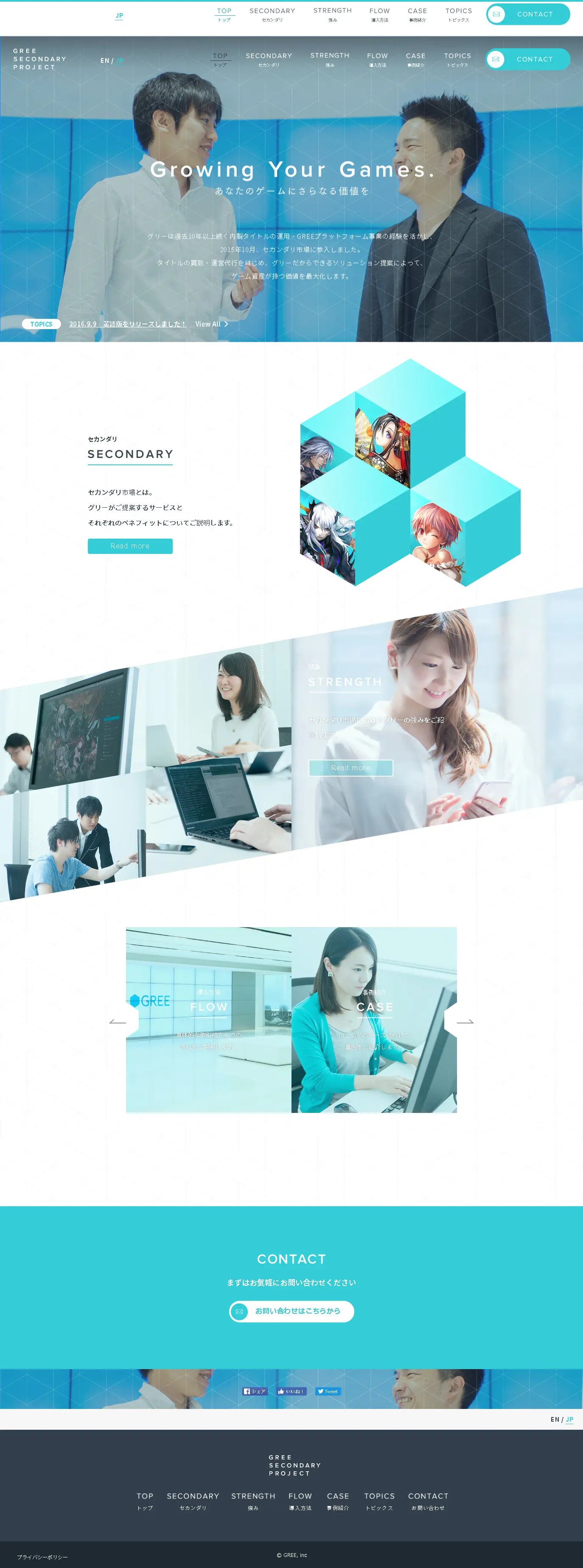 Secondary LP design (Services, Insurance, and Finance / Shades of blue / Simple) PC version