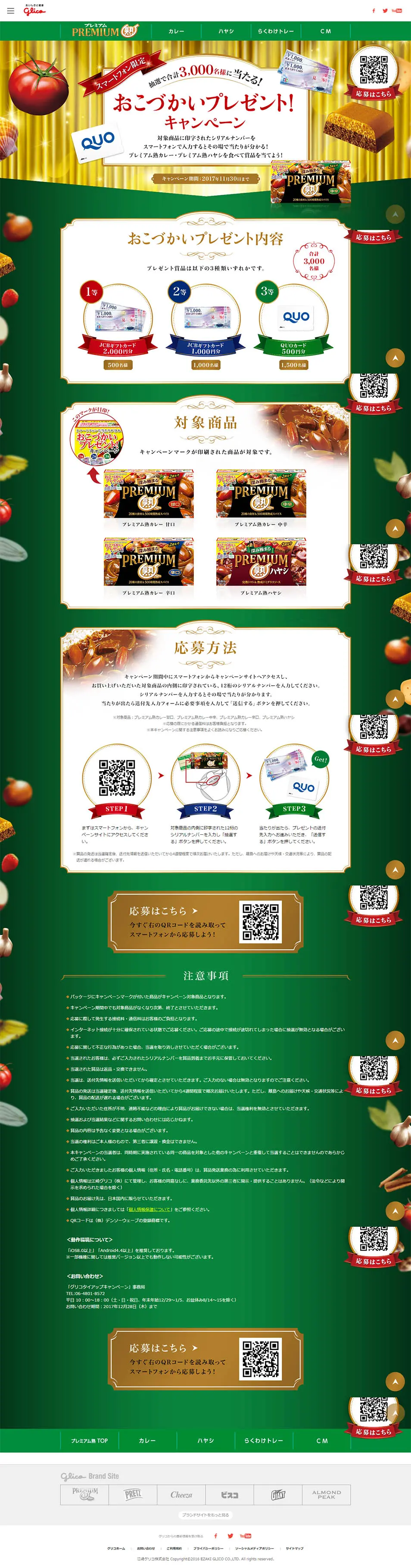 Pocket Money Giveaway Campaign LP design (food / Green tones / Flashy style) PC version