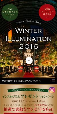 Winter Illumination 2016